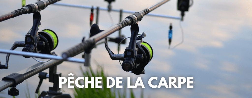 Pêche de la carpe - Camping les 3 lacs du soleil en Isère à Trept