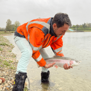 pêche à la mouche - truite arc en ciel - Domaine des 3 lacs à Trept - Réservoir pêche à la mouche